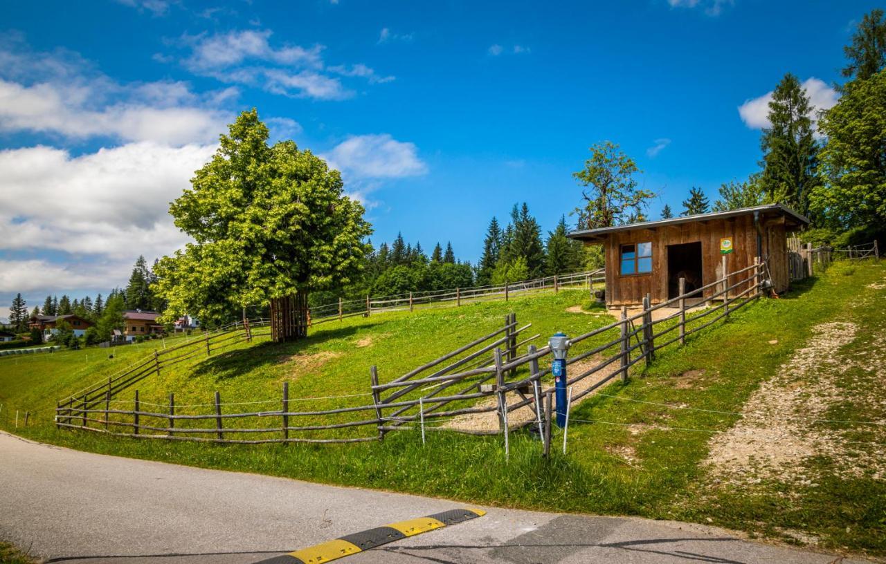 Apartamento Daarhof Wagrain Exterior foto